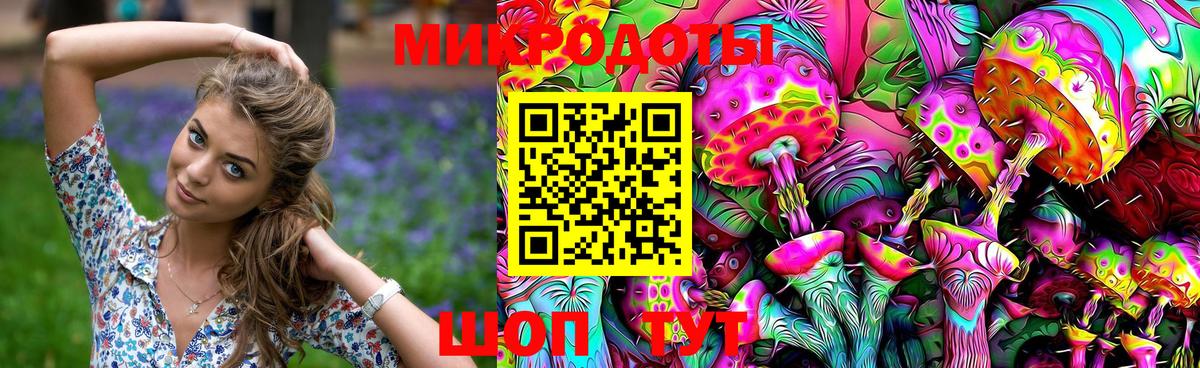 Галлюциногенные грибы Psilocybe  Вход с VPN  Александров 
