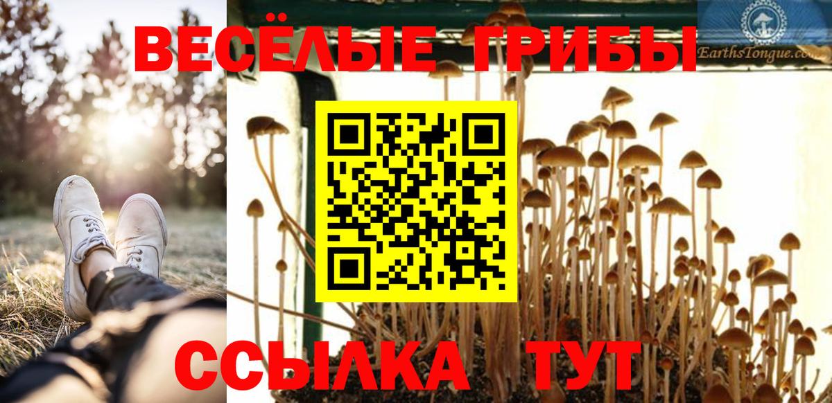 Псилоцибиновые грибы мицелий Александров